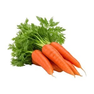 Home carrot from vgrowthhub